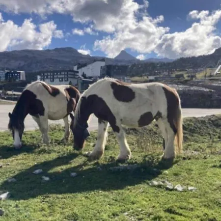 Au Pied Des Pistes Exposes Plein Sud